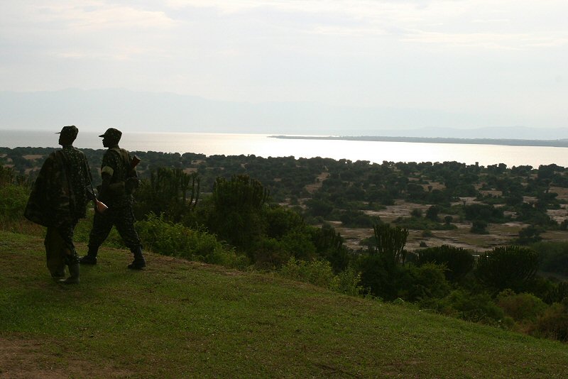 CRW_3739_RJ