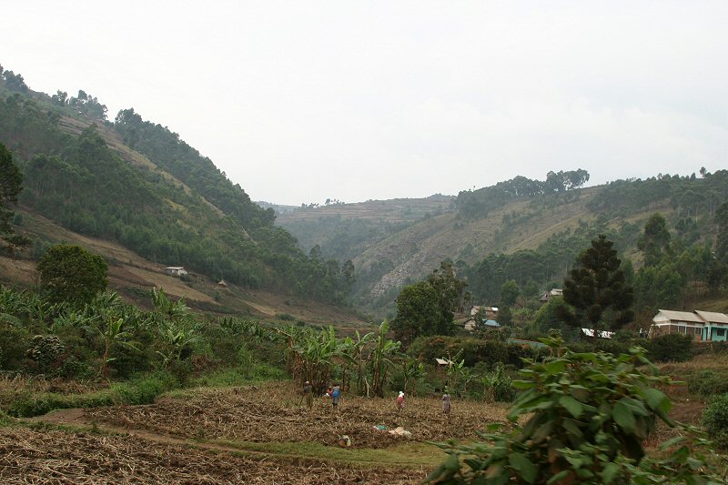 CRW_4390_RJ