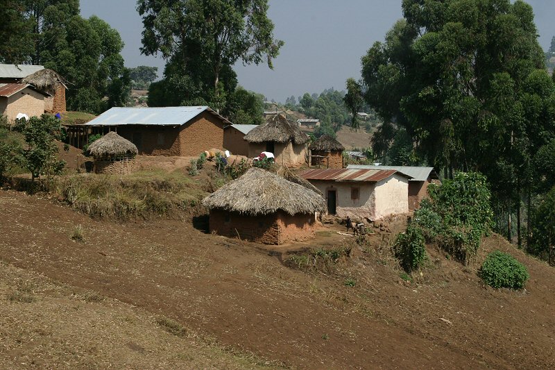 CRW_4842_RJ