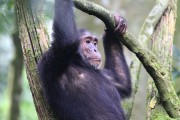 210IMG_9917