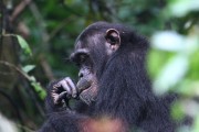 210IMG_9941