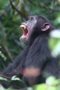 210IMG_9953