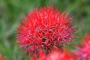 220IMG_0217