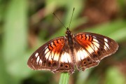 240IMG_0128