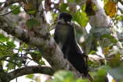 260IMG_0187