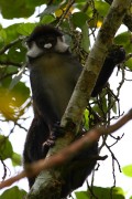260IMG_0207