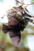 280IMG_0299