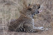 300IMG_1001