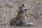 300IMG_1005