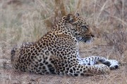 300IMG_1012