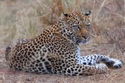 300IMG_1037