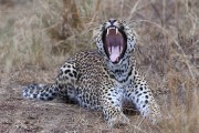 300IMG_1065