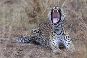 300IMG_1067