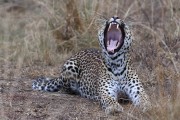 300IMG_1068