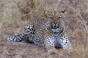 300IMG_1071