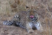 300IMG_1072