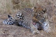 300IMG_1094