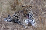300IMG_1100