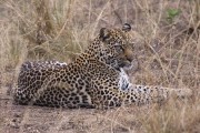 300IMG_9417