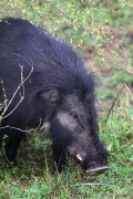 306IMG_1167
