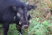 306IMG_1171
