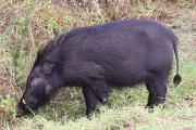 306IMG_9456