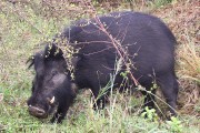 306IMG_9464
