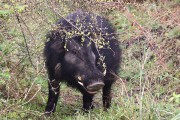 306IMG_9482