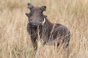 309IMG_1187