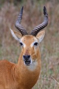 309IMG_1216