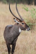 309IMG_1226