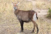 309IMG_8927
