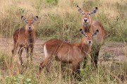 309IMG_9507
