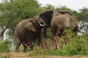 310IMG_9598