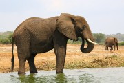 310IMG_9698