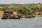 310IMG_9772