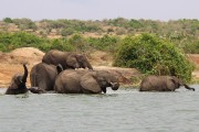 310IMG_9776