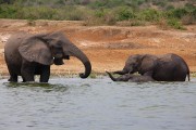 310IMG_9793