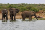 310IMG_9834
