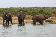 310IMG_9838