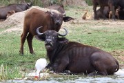315IMG_9187