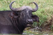 315IMG_9939