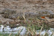 320IMG_0559
