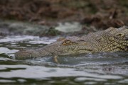 320IMG_1661