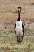 340IMG_0059