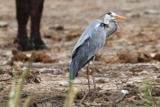 345IMG_0549