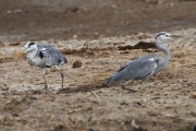 345IMG_0578