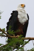 355IMG_1626