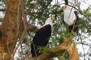 355IMG_9906