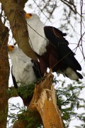 355IMG_9914